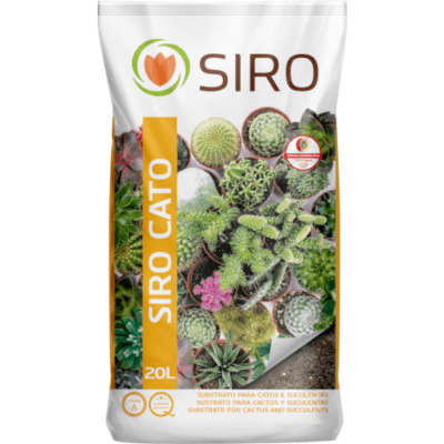 Siro Cato