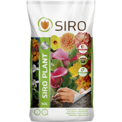 Siro Plant